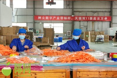 火爆！天貓雙十一小家電銷量巨增，日用百貨掀起消費熱潮